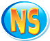 NS Logo